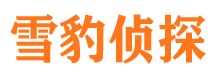 峄城市调查公司